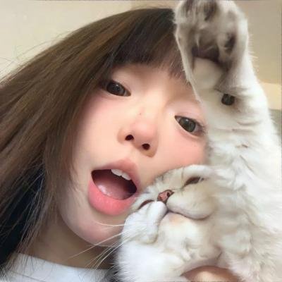 森林之北